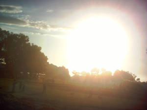 Golf Early